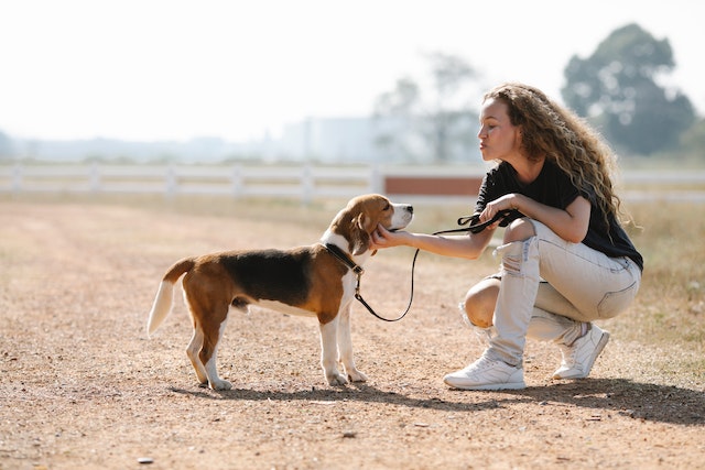 a person crouching to a dog's height wth a leash in their hands