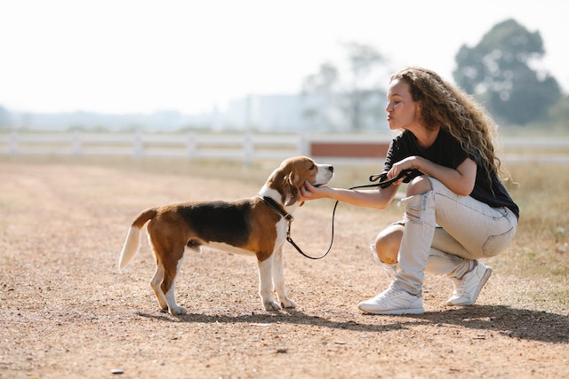 person with a dog in leash